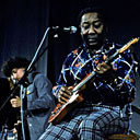 Muddy Waters