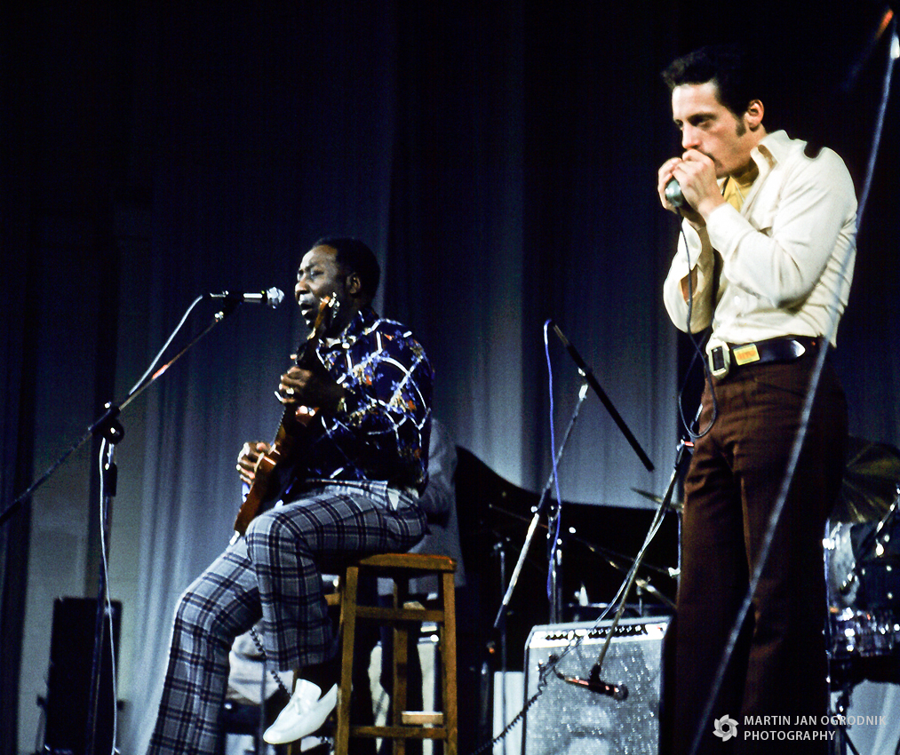 MuddyWaters