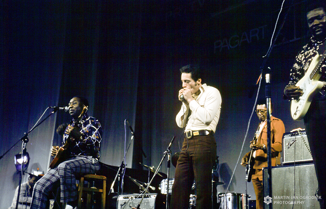 MuddyWaters
